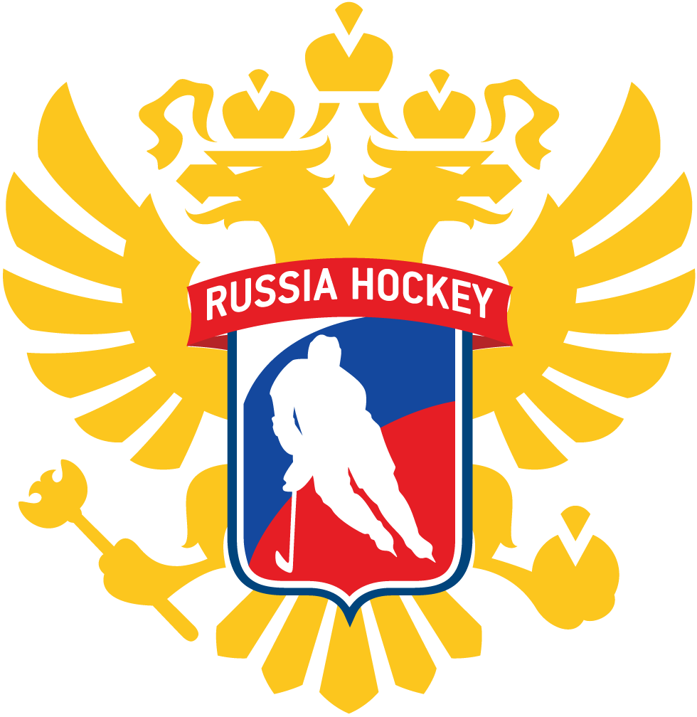 Russia 2016-Pres Alternate Logo v4 iron on transfers for T-shirts